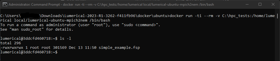 lumerical_prompt_dockerfiles_container.png
