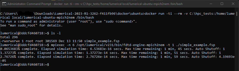 lumerical_prompt_dockerfiles_container_run.png