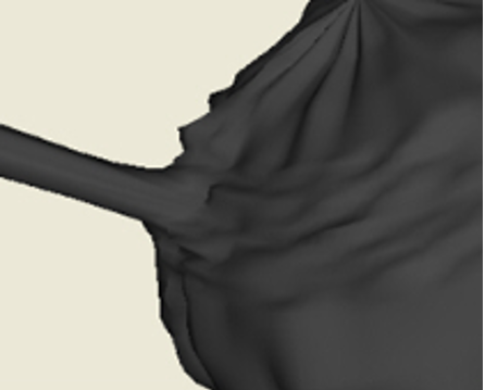 Interpolation