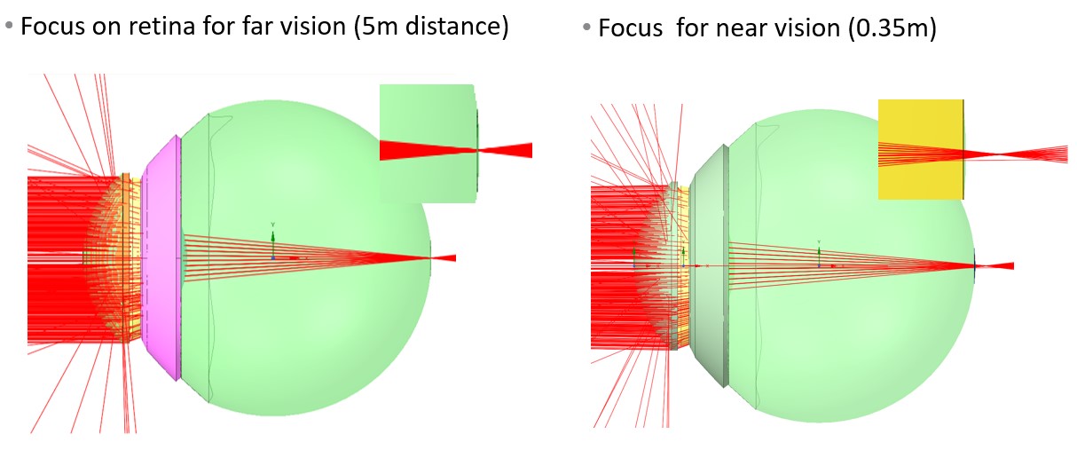 interactive simulation.jpg