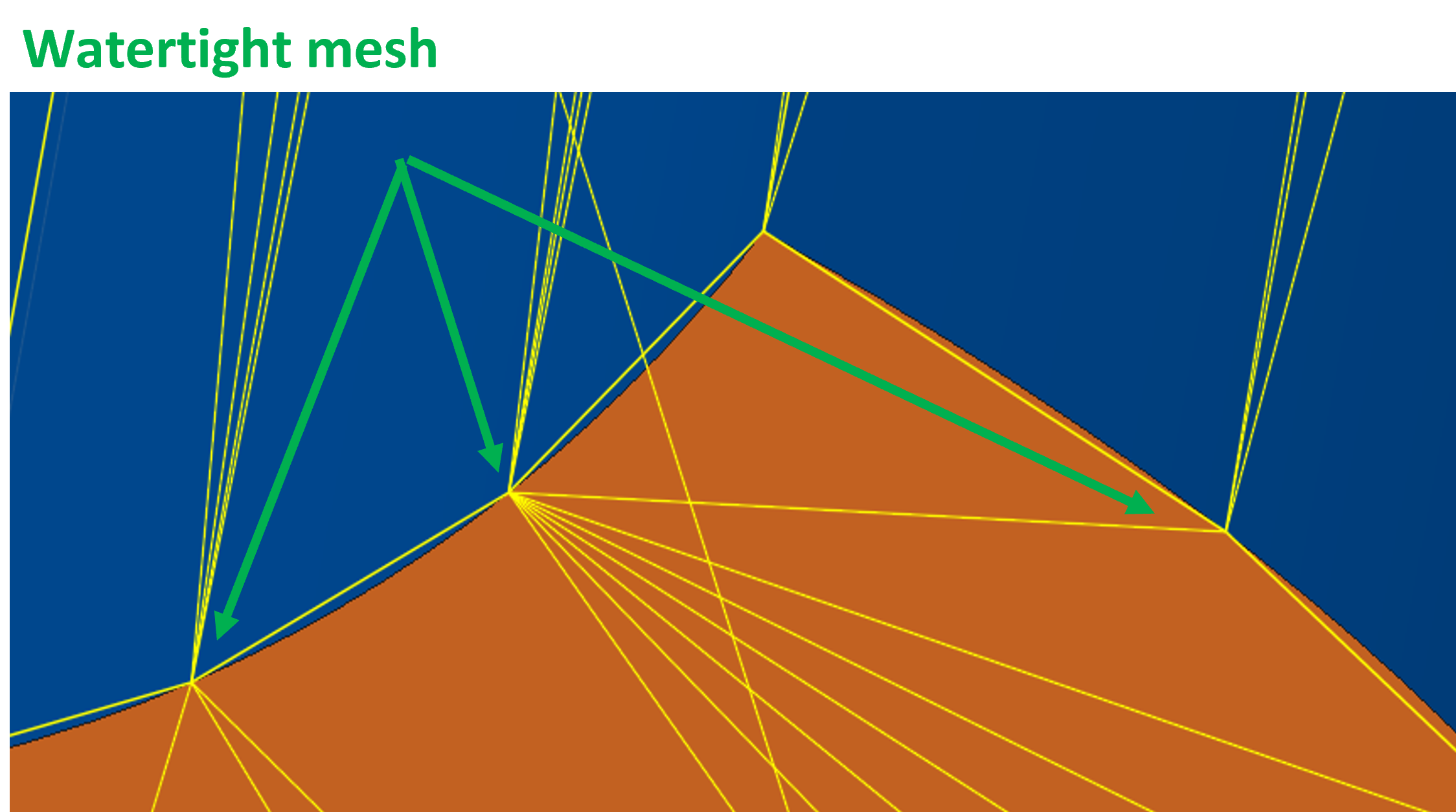 watertight_mesh.png