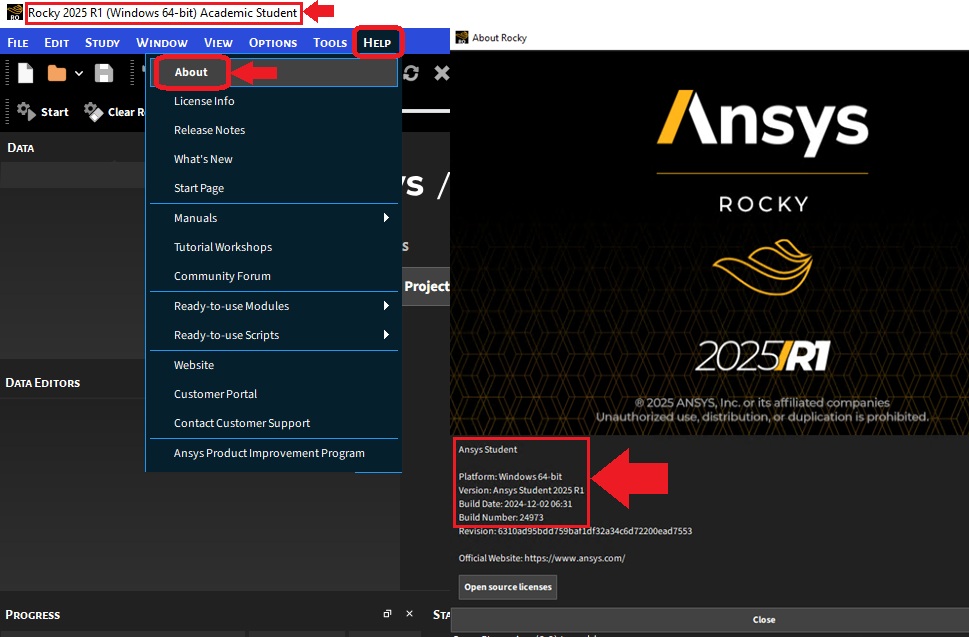 rocky-student-about.jpg