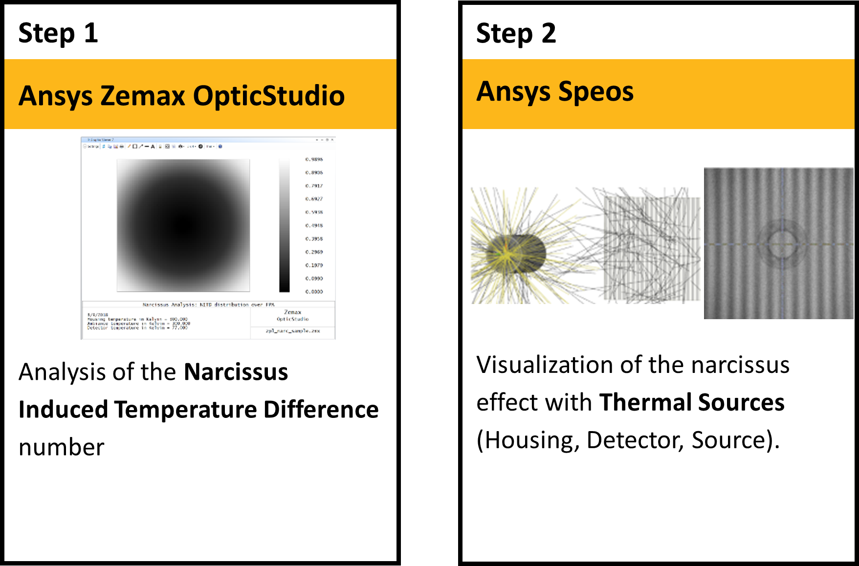 Narcissus_overview.png