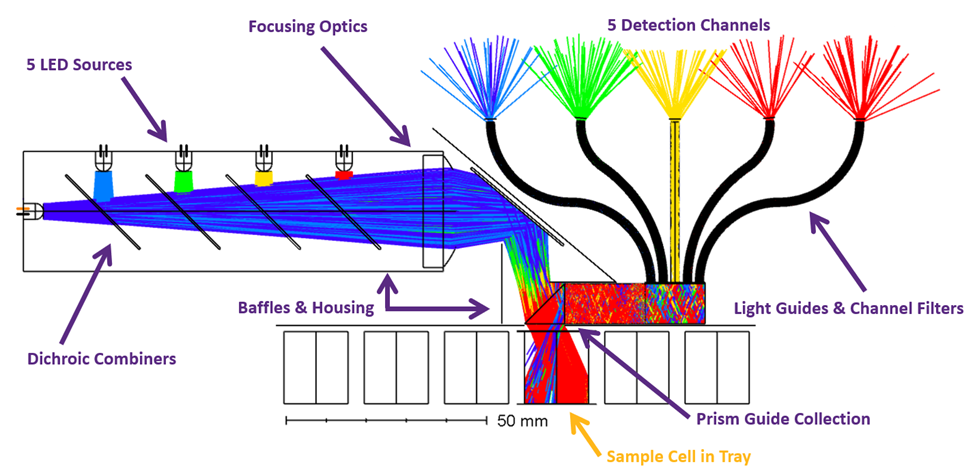 System layout diagram showing the illumination subsystem, sample cells, and detection signal collection subsystem