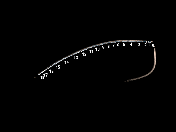 pic_2_Radiancemap.png